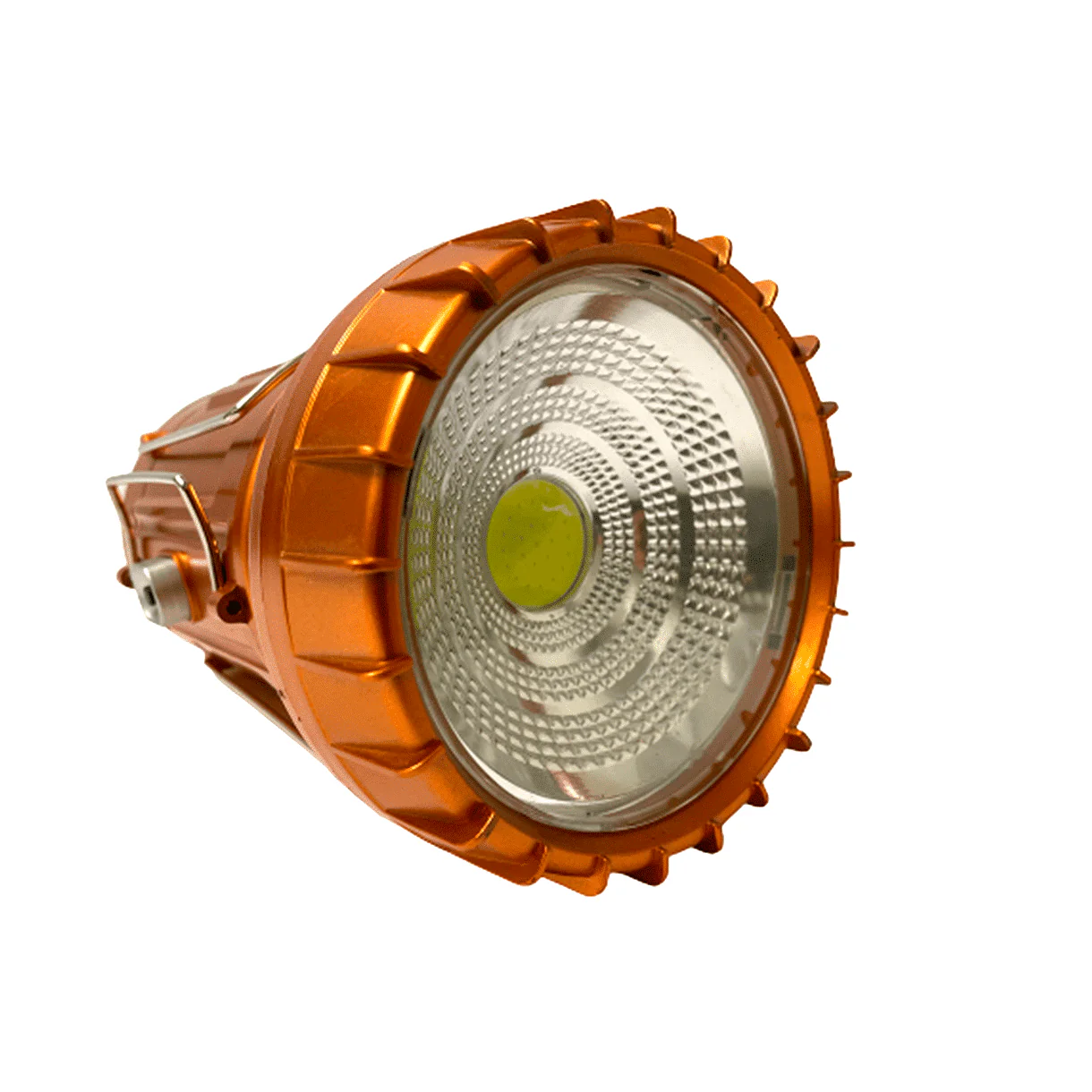 Miniatyrbild 1
