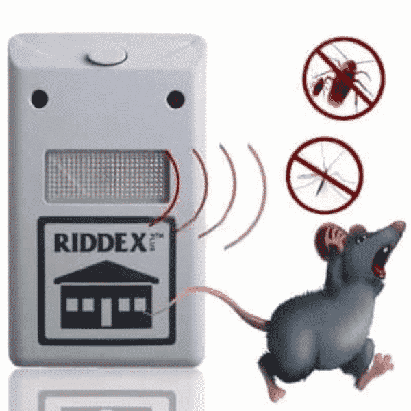 Miniatyrbild 1
